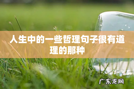 人生中的一些哲理句子很有道理的那种