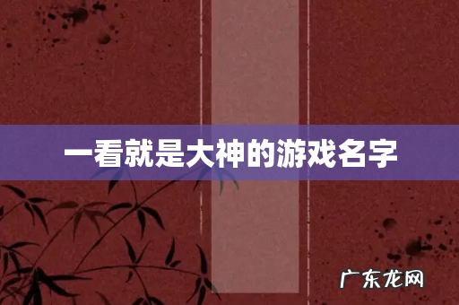 一看就是大神的游戏名字