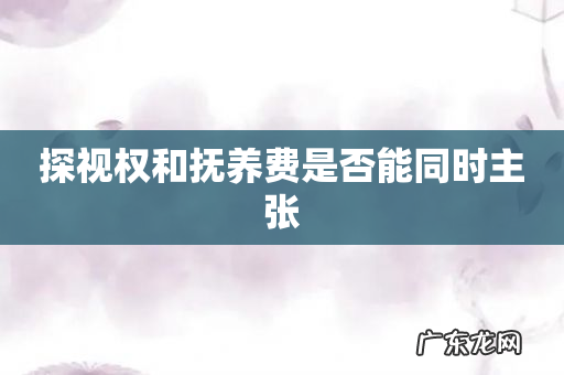 探视权和抚养费是否能同时主张