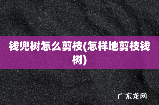 怎样地剪枝钱树 钱兜树怎么剪枝