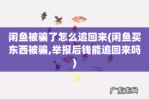 闲鱼买东西被骗,举报后钱能追回来吗 闲鱼被骗了怎么追回来