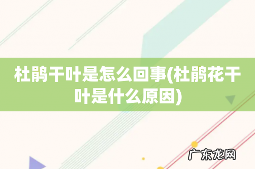 杜鹃花干叶是什么原因 杜鹃干叶是怎么回事