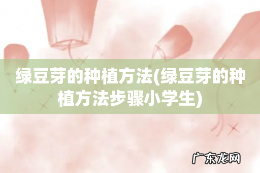 绿豆芽的种植方法步骤小学生 绿豆芽的种植方法