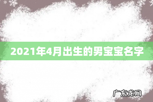 2021年4月出生的男宝宝名字