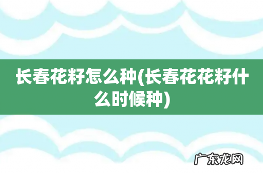 长春花花籽什么时候种 长春花籽怎么种