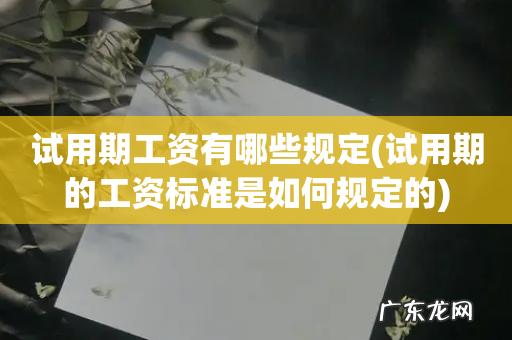 试用期的工资标准是如何规定的 试用期工资有哪些规定