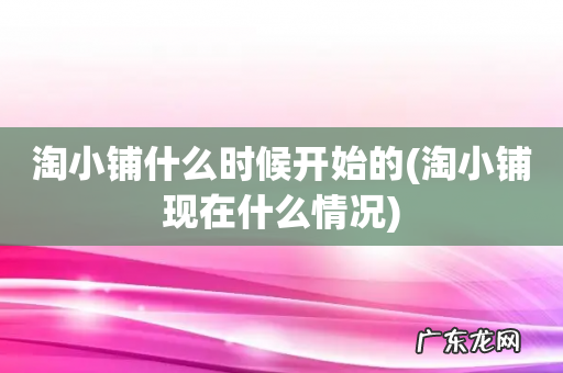 淘小铺现在什么情况 淘小铺什么时候开始的