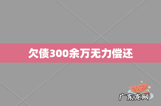 欠债300余万无力偿还