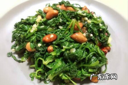 鲜蒲公英的功效与作用及食用方法 蒲公英的功效与作用及食用方法?