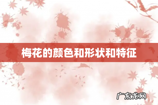 梅花的颜色和形状和特征