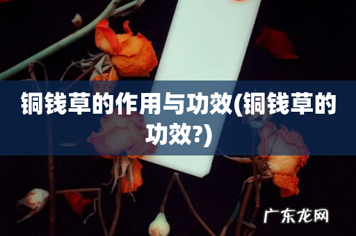 铜钱草的功效? 铜钱草的作用与功效