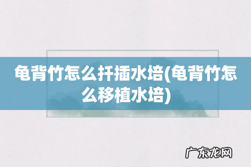 龟背竹怎么移植水培 龟背竹怎么扦插水培