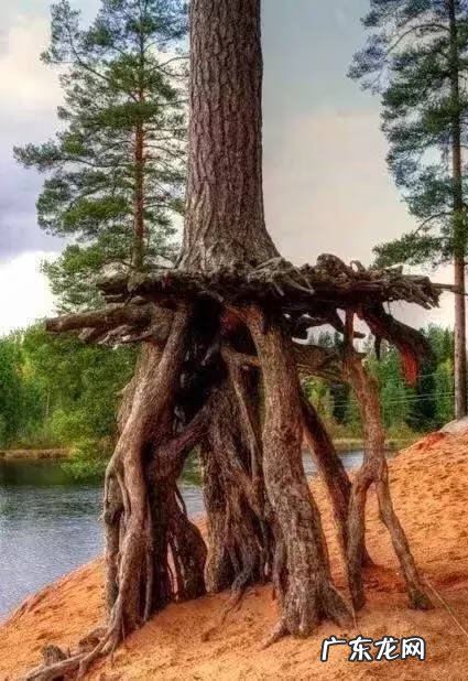 风水尸骨百年不烂 百年难得一见的风水图