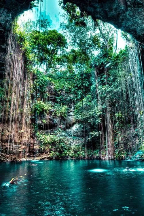 风水尸骨百年不烂 百年难得一见的风水图