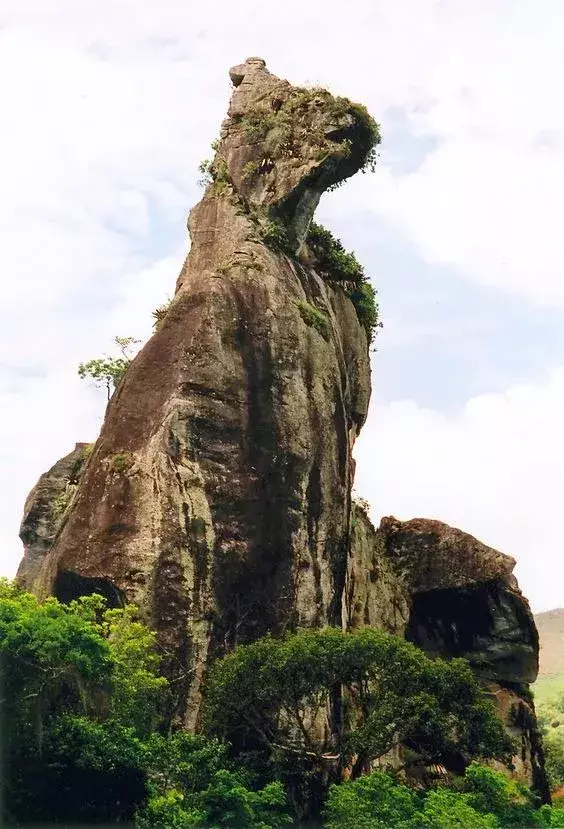 风水尸骨百年不烂 百年难得一见的风水图