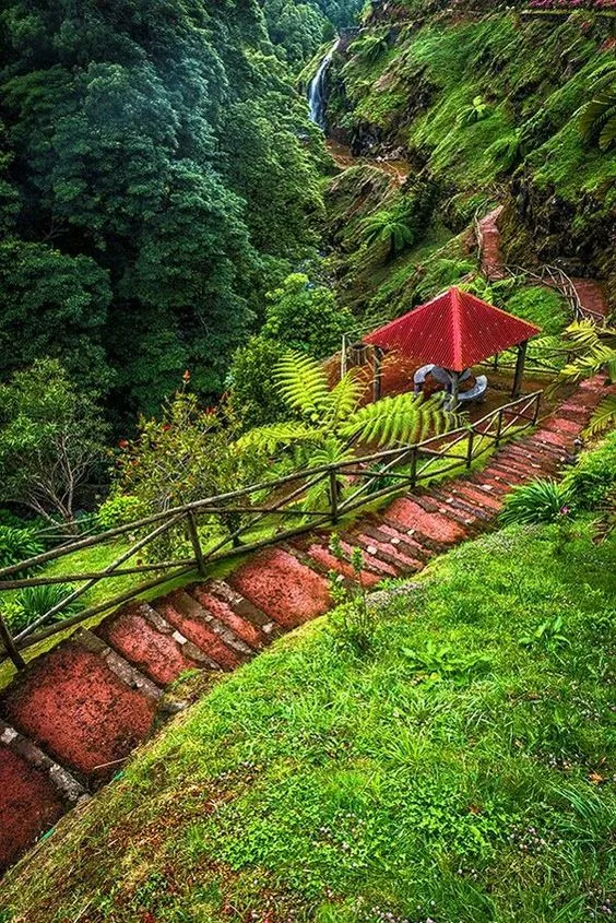 风水尸骨百年不烂 百年难得一见的风水图