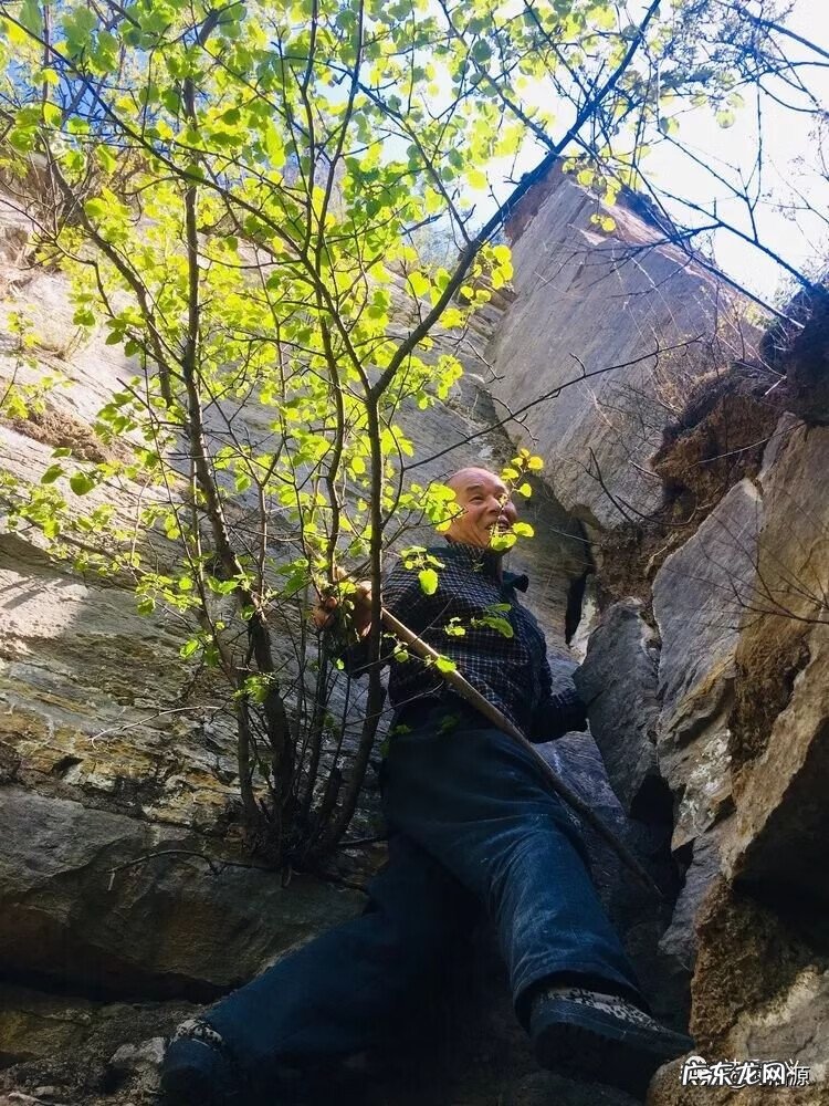 剃龙尾都有什么讲究 巩义龙尾风水