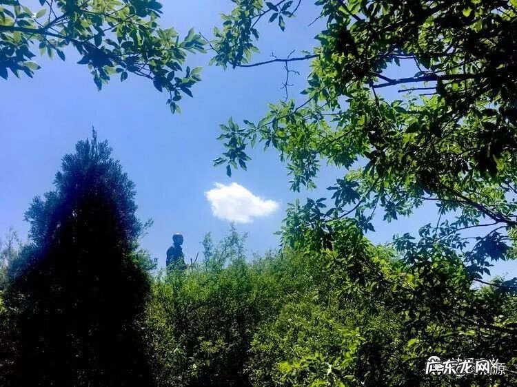 剃龙尾都有什么讲究 巩义龙尾风水