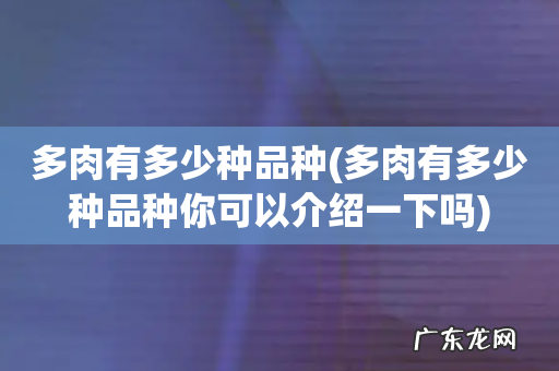 多肉有多少种品种你可以介绍一下吗 多肉有多少种品种