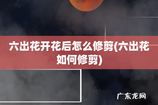 六出花如何修剪 六出花开花后怎么修剪