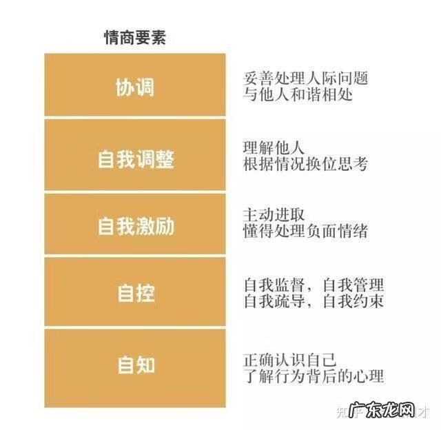 提高语言能力的关键是什么 提升自己的语言能力