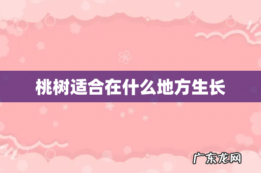 桃树适合在什么地方生长