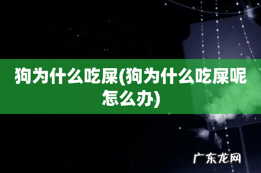 狗为什么吃屎呢怎么办 狗为什么吃屎