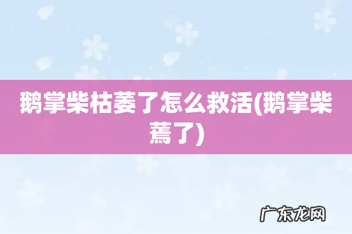 鹅掌柴蔫了 鹅掌柴枯萎了怎么救活