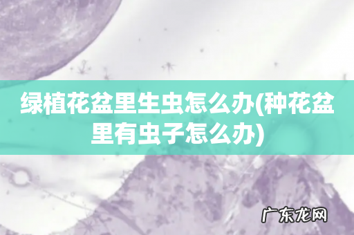 种花盆里有虫子怎么办 绿植花盆里生虫怎么办