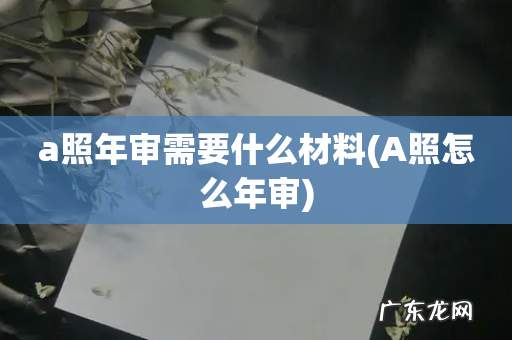 A照怎么年审 a照年审需要什么材料