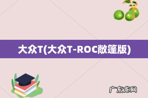 大众T-ROC敞篷版 大众T