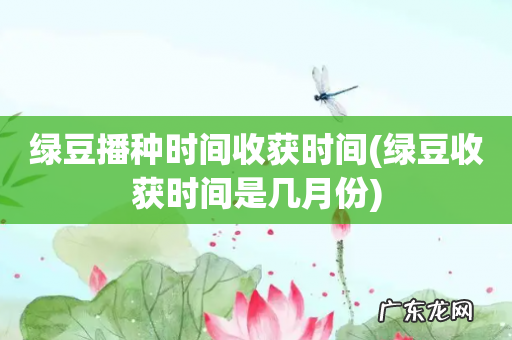 绿豆收获时间是几月份 绿豆播种时间收获时间