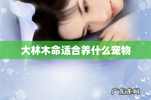 大林木命适合养什么宠物