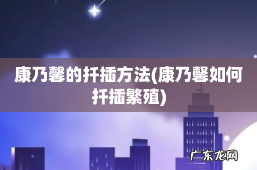 康乃馨如何扦插繁殖 康乃馨的扦插方法