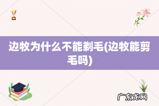 边牧能剪毛吗 边牧为什么不能剃毛