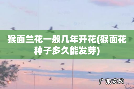 猴面花种子多久能发芽 猴面兰花一般几年开花