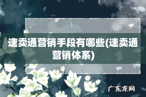 速卖通营销体系 速卖通营销手段有哪些