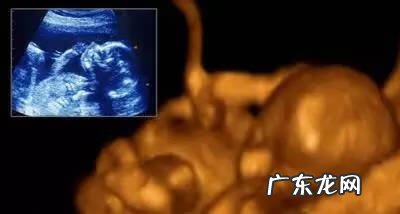 宝宝胚胎发育过程图 怀孕胎儿发育过程图片