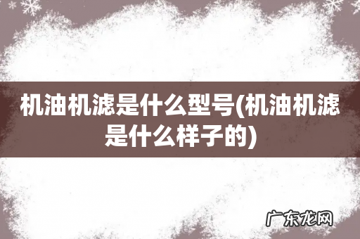 机油机滤是什么样子的 机油机滤是什么型号
