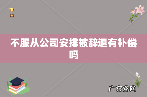 不服从公司安排被辞退有补偿吗