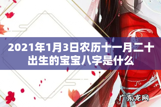 2021年1月3日农历十一月二十出生的宝宝八字是什么