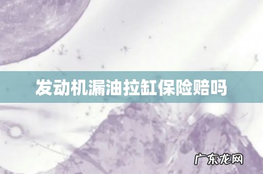 发动机漏油拉缸保险赔吗