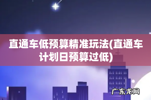 直通车计划日预算过低 直通车低预算精准玩法