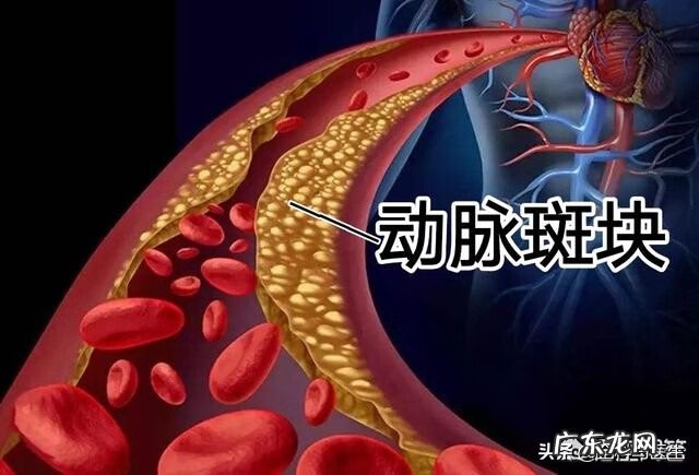 维生素c能长期服用吗 维生素c的作用和功效有哪些