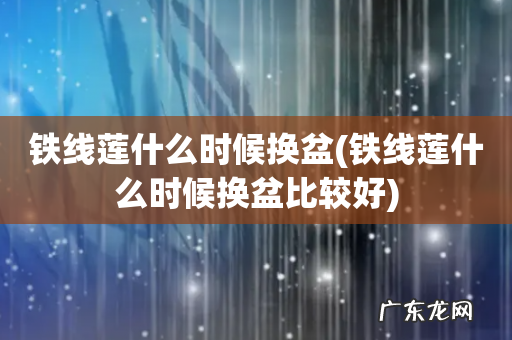 铁线莲什么时候换盆比较好 铁线莲什么时候换盆