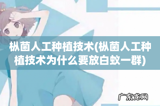 枞菌人工种植技术为什么要放白蚁一群 枞菌人工种植技术