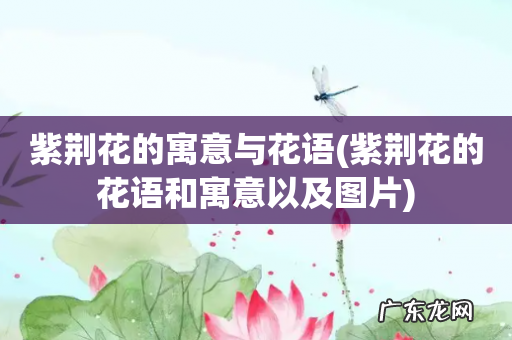 紫荆花的花语和寓意以及图片 紫荆花的寓意与花语