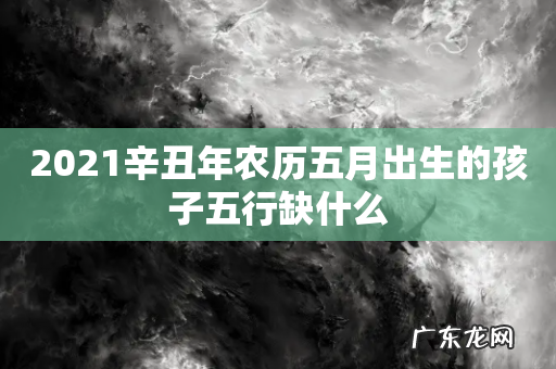 2021辛丑年农历五月出生的孩子五行缺什么