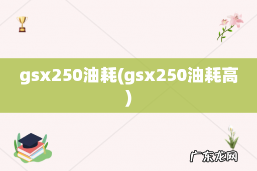 gsx250油耗高 gsx250油耗