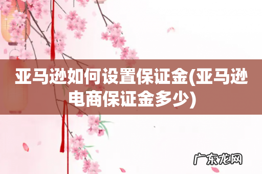 亚马逊电商保证金多少 亚马逊如何设置保证金